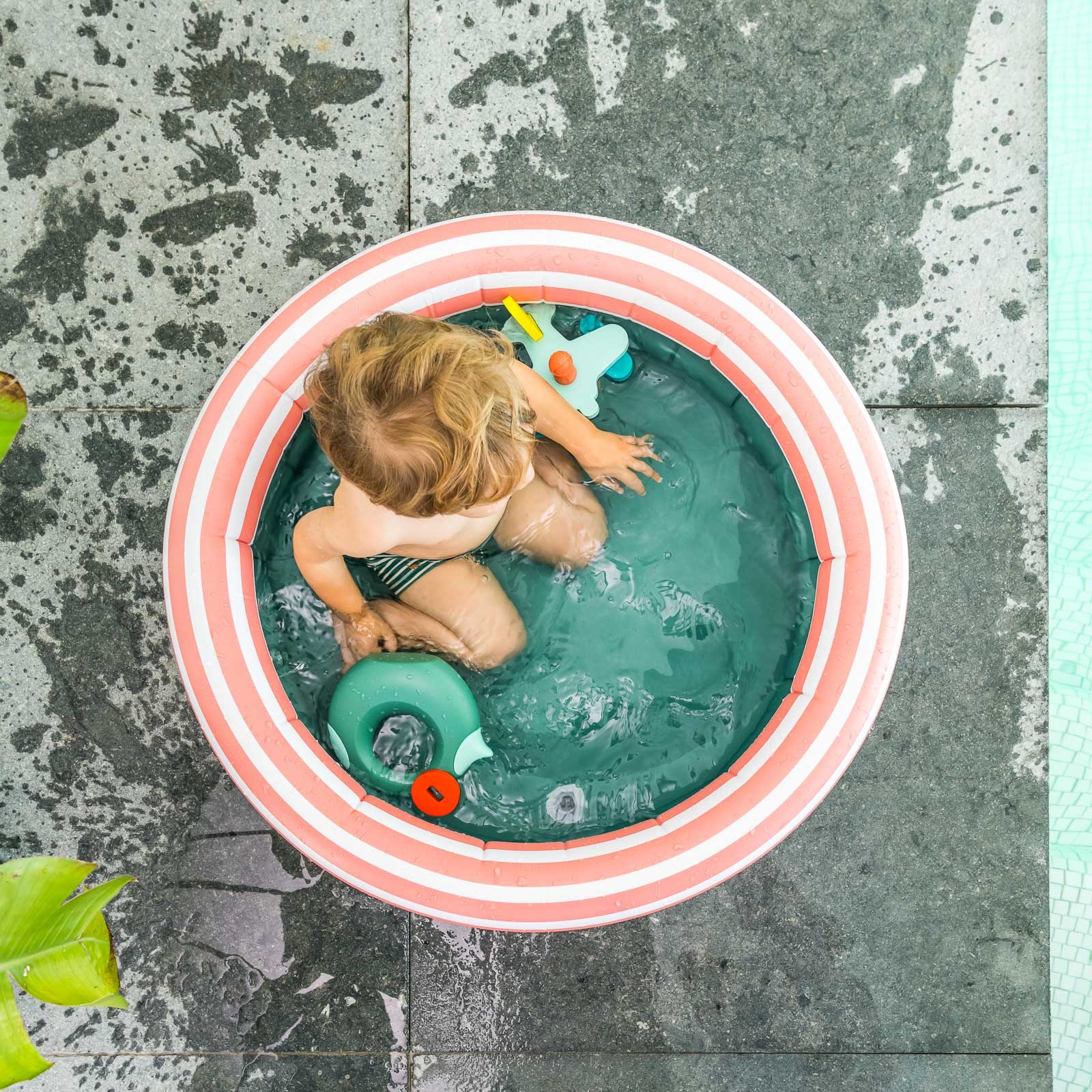 quut-dippy-petite-piscine-enfant-tropicale-2 image 5